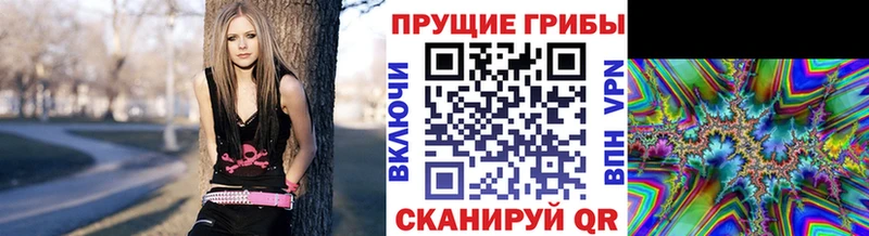 Галлюциногенные грибы Magic Shrooms Тайшет