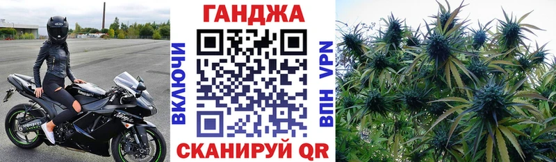 Конопля семена купить наркотики сайты Тайшет